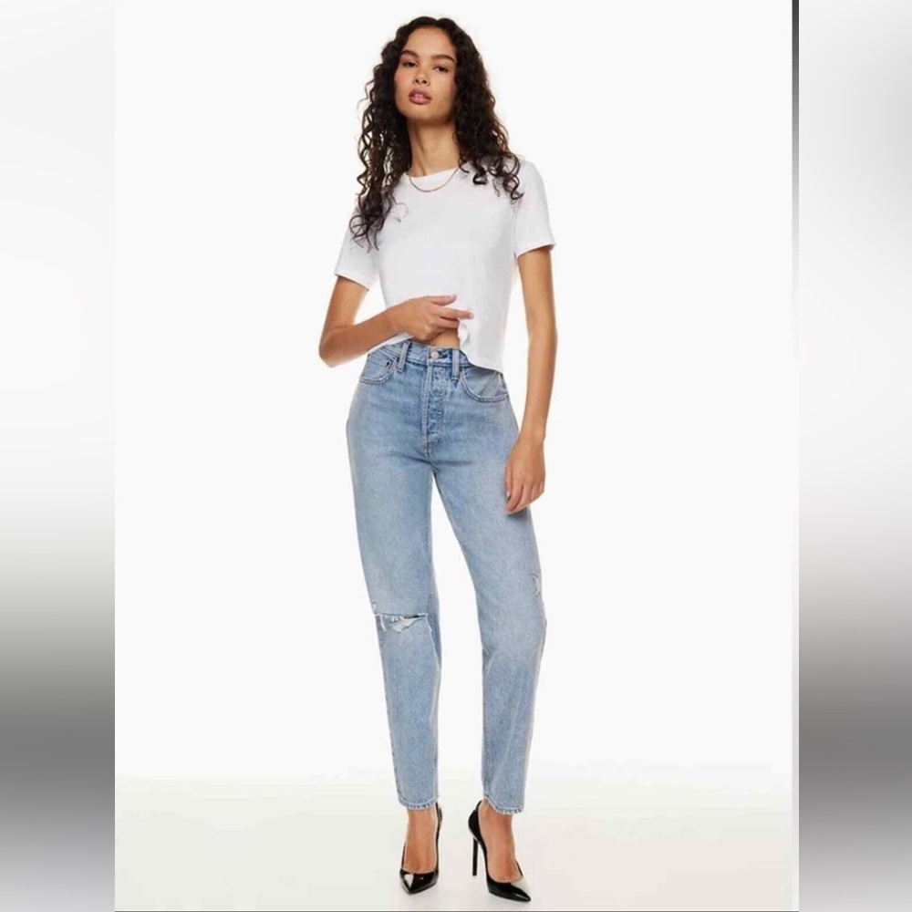 Aritzia Denim Forum 90’s Boyfriend High Rise Loose Jeans, 25